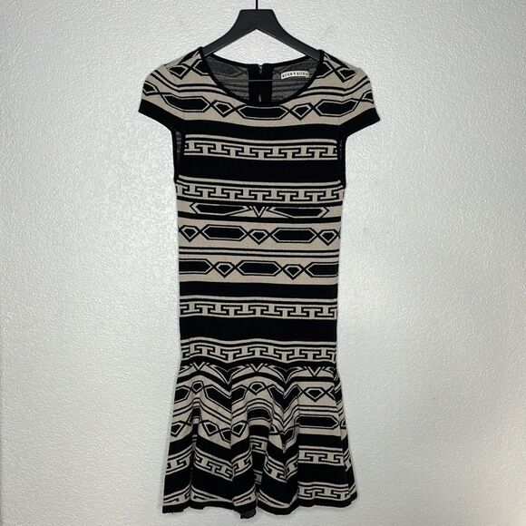 Alice + Olivia Aztec Darby Knit Sweater Dress Size S - Picture 2 of 8